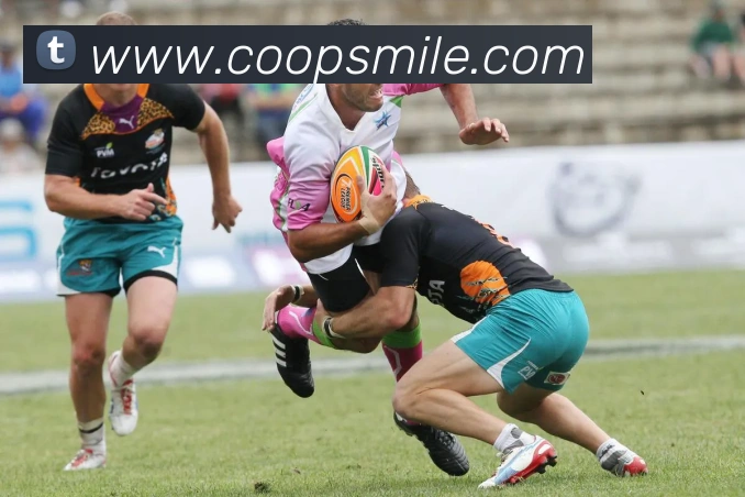 米乐m6平台生态图